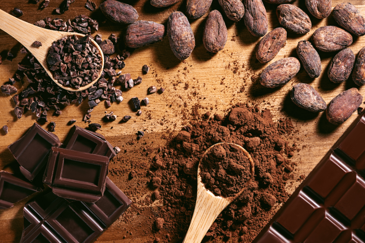 Colombian Chocolate Producer Fosters Human Rights and Biodiversity through Sustainable Practices