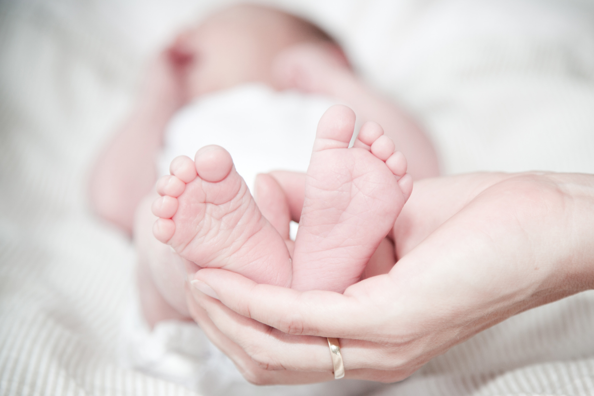 States Push Back as Trump Targets Birthright Citizenship