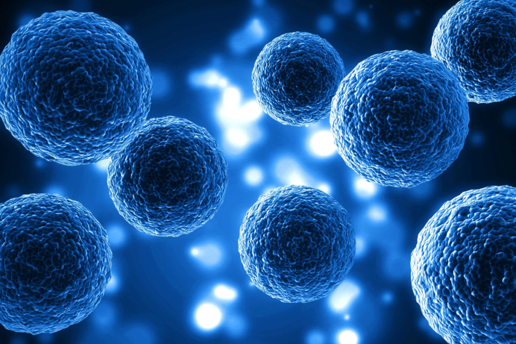 St. Jude Scientists Uncover Mechanism of Retinoic Acid in Targeting Metastatic Neuroblastoma Cells